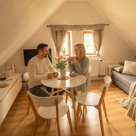 Podkrovni U Potoka Apartment